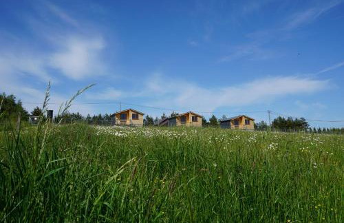 Domki na Łące - Foto 21