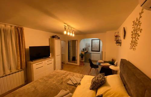 Studio Apartment Lacus - Foto 7