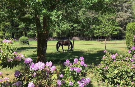 DOMAINE DE MALVAUX - Gîte classé 5 étoiles - 15 personnes - Sologne - Nouan le Fuzelier - Ambassadeur Sologne - Photo 26