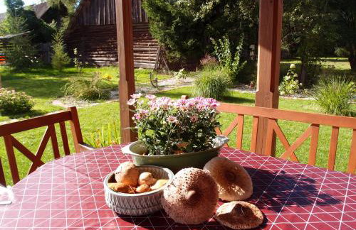 Jałówka - odpocznij na Podlasiu - Foto 25