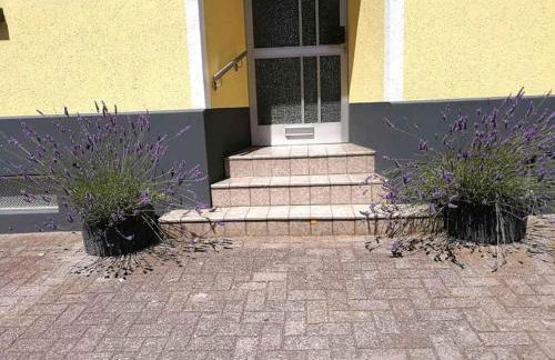 Gästehaus Schneider - Foto 7