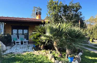 L'Uliveto HOLIDAY HOUSE - Photo 35