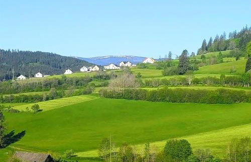 Romantic Style Apartment Titisee-Neustadt - Foto 50