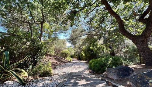 Appartement accès direct mer - Foto 5