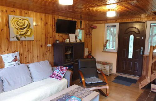 Brązowy Domek - Tleń, Bory Tucholskie - Foto 19