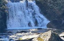 Bear's Mountaintop Home with Gorgeous Lake Views chalet - Foto 40