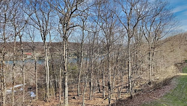 Villages of Wisp 33 Winding Way by Taylor Made Deep Creek - Foto 3, Servicios del alojamiento