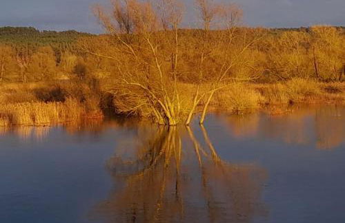 Oderbruchhütte - Photo 39