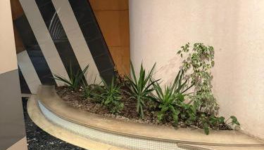 Casa da Fundação - Almada - Foto 3