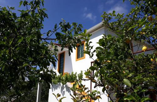 O Ninho do Rei - Foto 7