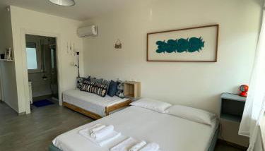 Grazioso Mono sulla Costa dei Trabocchi - Foto 4