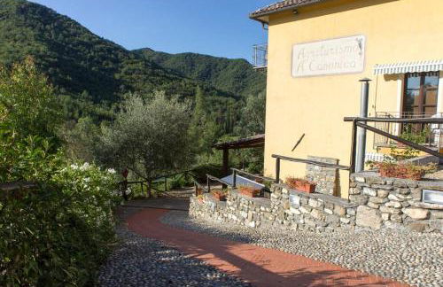 Agriturismo a Canonica - Foto 44