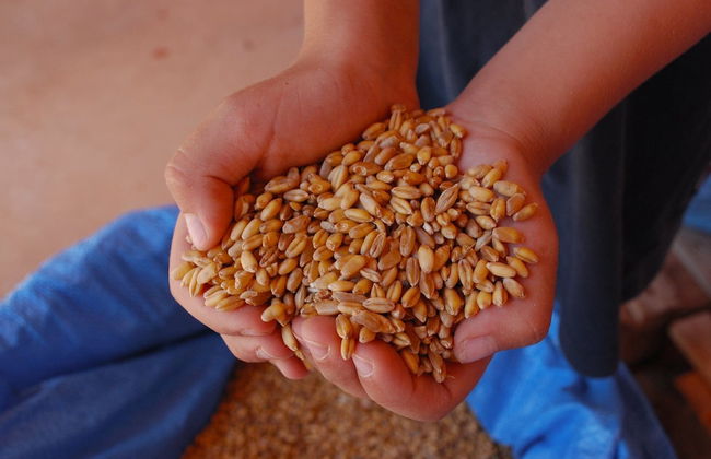 Agriturismo Masseria Galatea - Photo 18