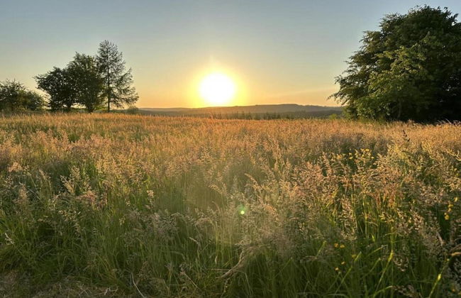 Ardennes View Apartment - Photo 27