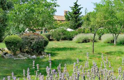 Cottage Casa Vinela - Foto 26