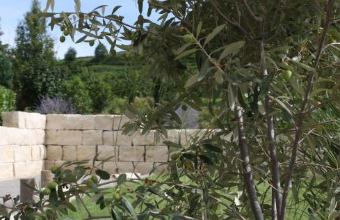 Weingut Landerer - Foto 12