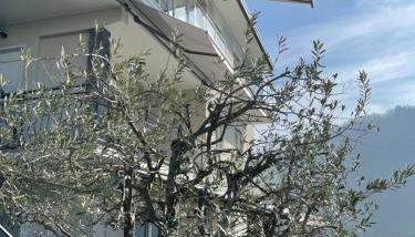 Casa Colmegna mit traumhaften See- und Bergblick - Foto 4