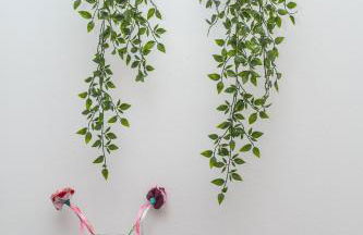 Casa Jacarandá - Photo 17