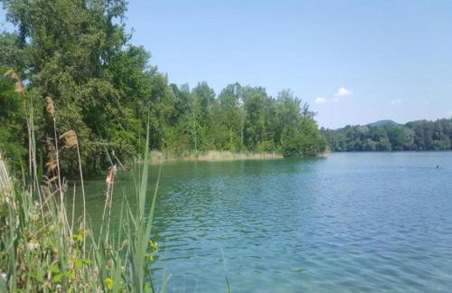 Apartment in Kleines Wiesental - Foto 61