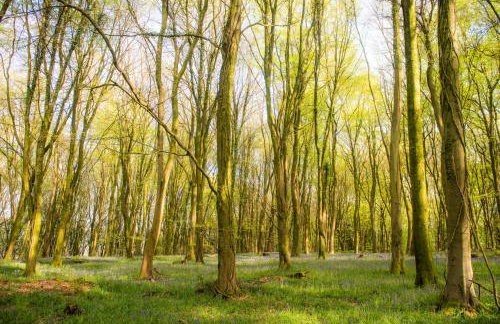 Walker's Rest - Photo 30