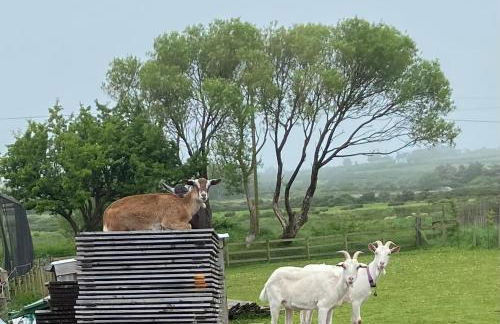 Pen llyn holiday cottages and caravan - Foto 5