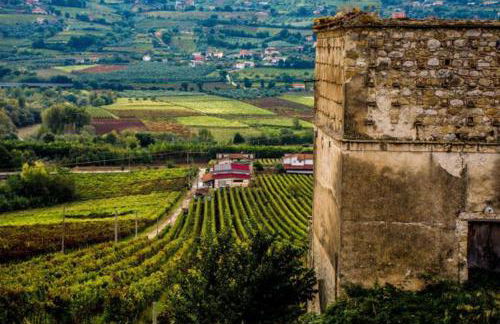 palazzo RICCARDI - Foto 52
