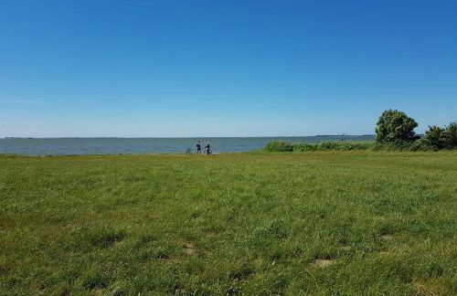 Ferienhäuschen - Foto 14