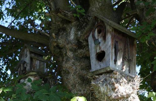 Updated Cottage 3 Bedroom Home With Game Room - Foto 9