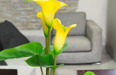 Casa Ramalma tra Milano-Rho Fiera, Milano, Monza, Como - Foto 3