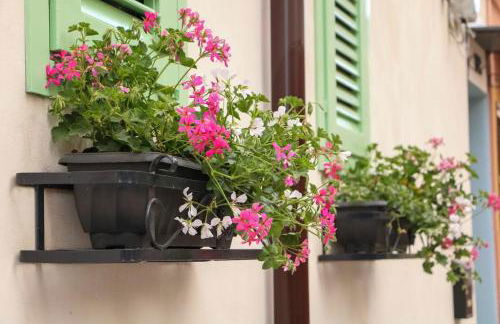 Donna Carmela - Foto 6