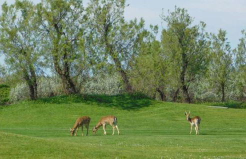 VILLA MAGNOLIA vicino al mare - Foto 18