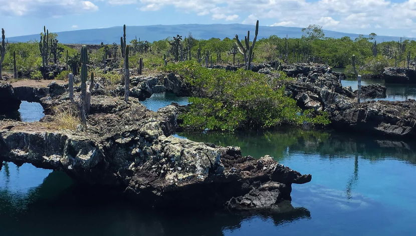 Excursão a Los Túneles