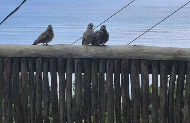 Sunset View Self Catering - Foto 33