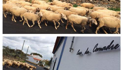 Casa da Comadre - Casas de Taipa - Foto 2, Other