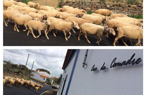 Casa da Comadre - Casas de Taipa - Foto 2