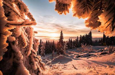 Ferienwohnung im Chaletstil Ährenglück 70 qm Wellness Fitness Sauna Bergrödelhof - Foto 1