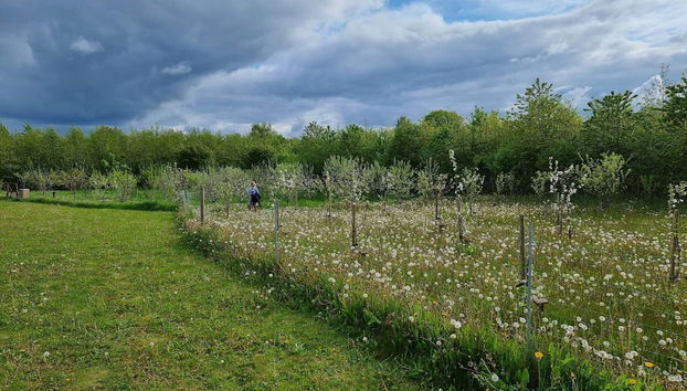 Seaside Charm in Aabenraa - By Traum Ferienwohnungen - Foto 3