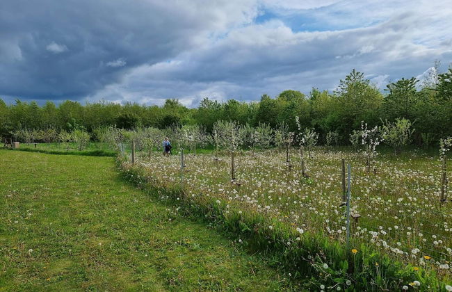 Seaside Charm in Aabenraa - By Traum Ferienwohnungen - Foto 3