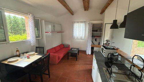 Studio terrasse - Foto 5