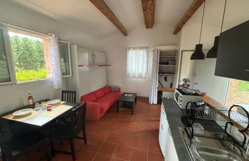 Studio terrasse - Foto 5