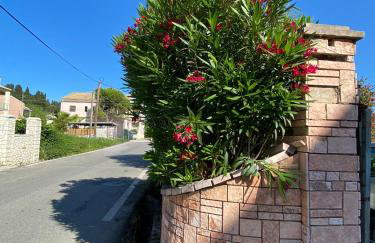 Coro Cozy House - Photo 33