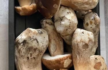 Chalet au lac de la raviège - Foto 17