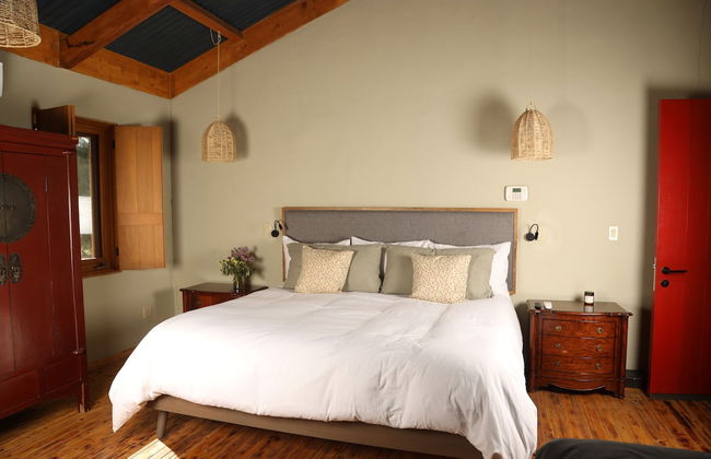 Alma Liebre Viñedos del Valle - Foto 5