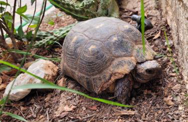 Riviera Paradiso - Foto 15