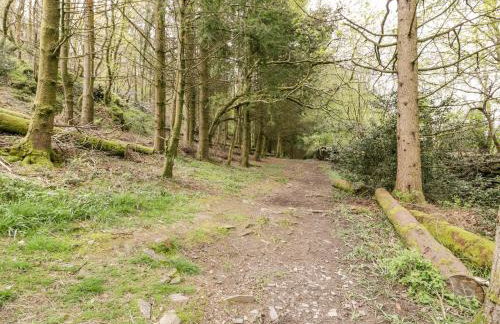 Crud yr Awel - Photo 28