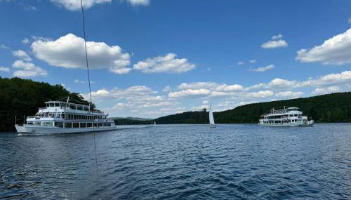 #9 Ommi Kese Drachen See-Suite Sauna Hund - Foto 3