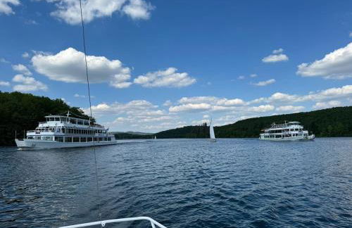 #9 Ommi Kese Drachen See-Suite Sauna Hund - Foto 3