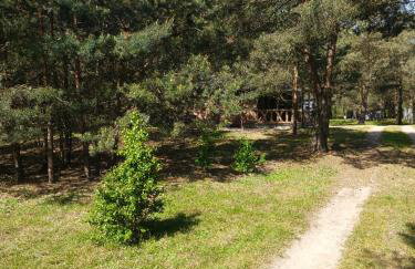 Świetna Chatka nad jeziorem - Foto 29