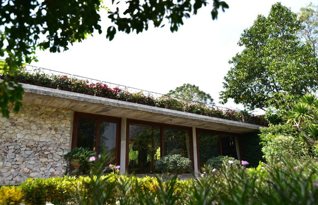 Uncle Jo Ranch - Foto 37