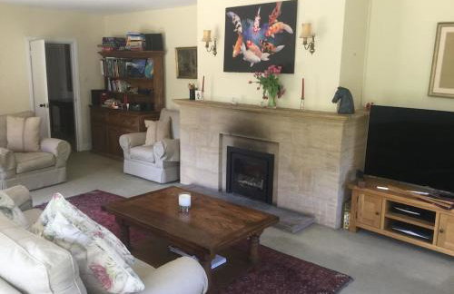 The Quackery - Foto 10